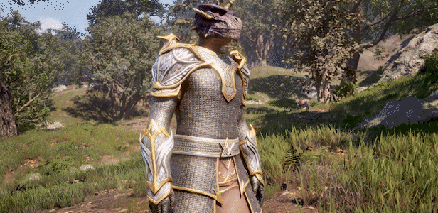 The Elder Scrolls IV: Oblivion Remastered
