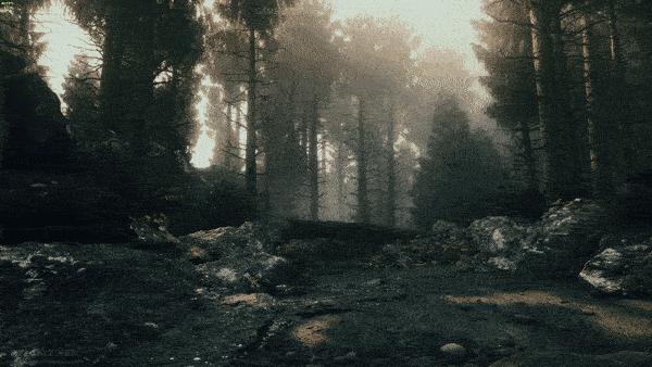 dd40441aa155e2cb08836a3bcff9f6ef3b819d5d