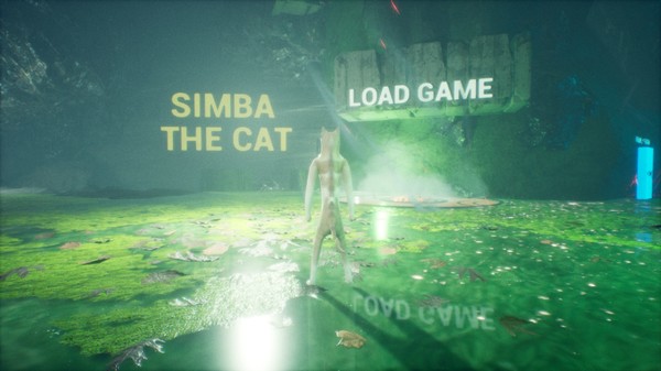SIMBA THE CAT