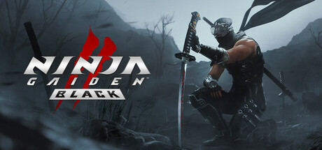 Возрождение классики с выходом NINJA GAIDEN 2 Black